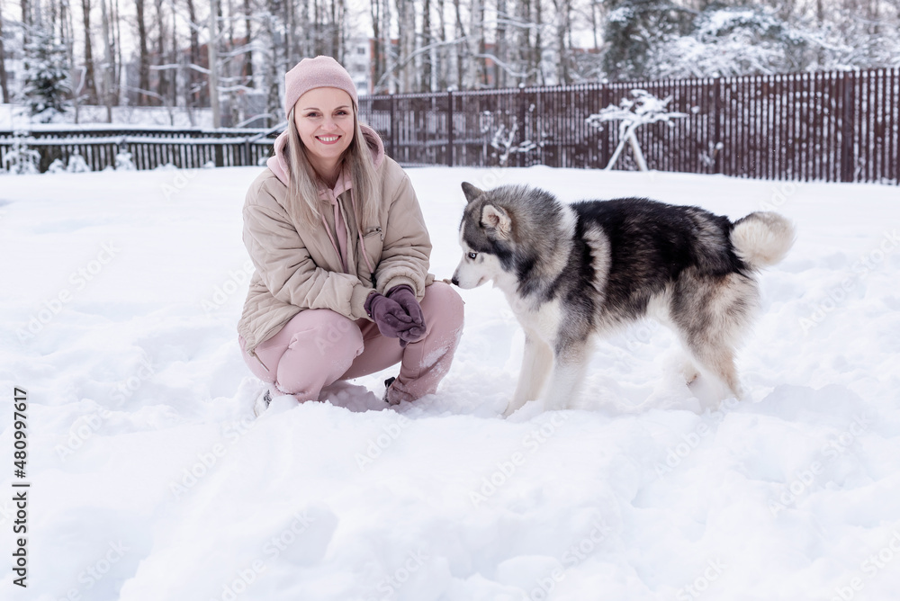 Young woman playing with siberian husky dog in the snow on winter day, training and walking her pet dog. Friendship, lovely dog, best pet, dog for a walk with his owner Young woman playing with siberian husky dog in the snow on winter day, training and walking her pet dog. Friendship, lovely dog, best pet, dog for a walk with his owner
