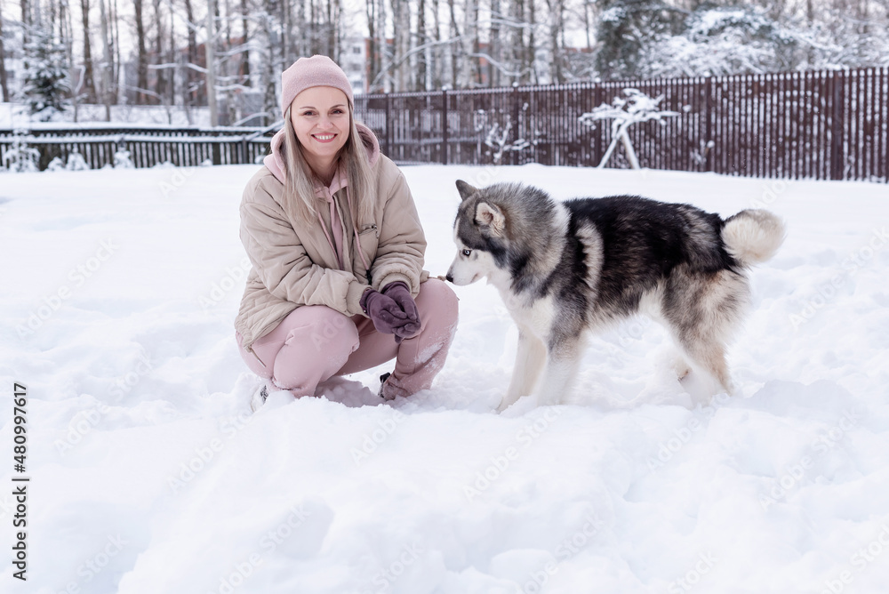 Young woman playing with siberian husky dog in the snow on winter day, training and walking her pet dog. Friendship, lovely dog, best pet, dog for a walk with his owner