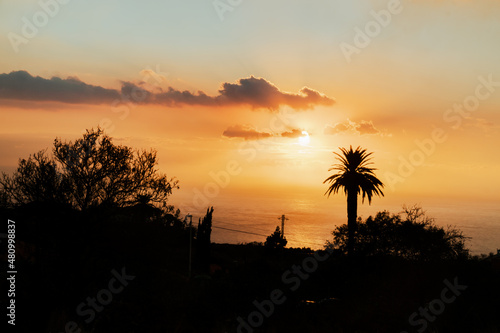 Sunset over the canary island of La Palma with palm tree