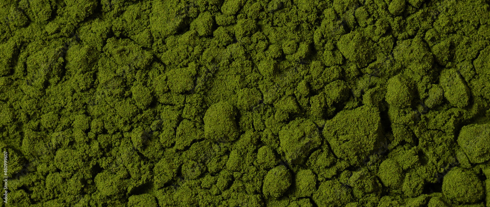 Green powder background. Banner. Chlorella powder closeup. Superfood.