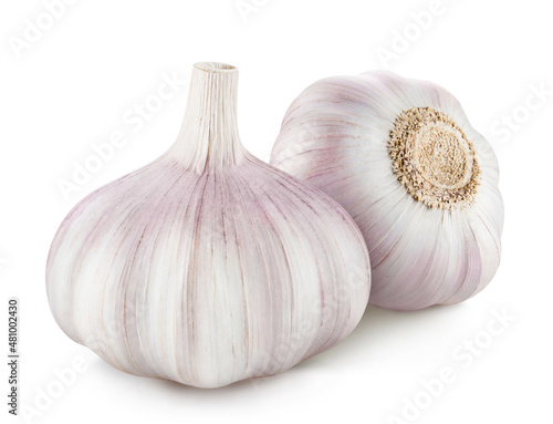 Delicious garlic, isolated on white background