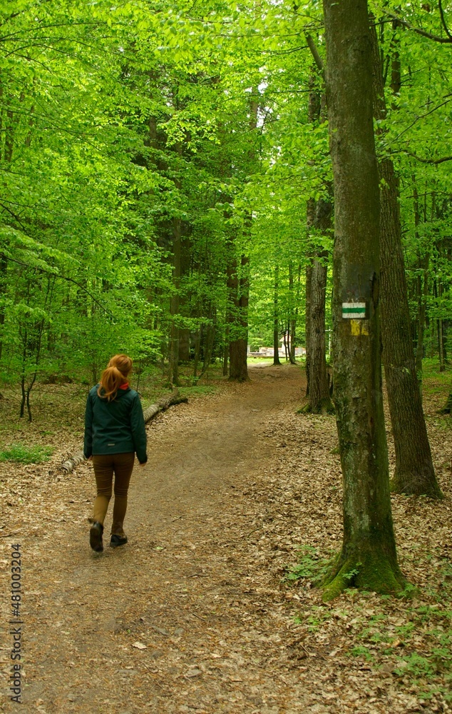 ruda dziewczyna na szlaku turystycznym w lesie
