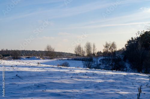 Beautiful snowy winter landscape with white field © Payllik