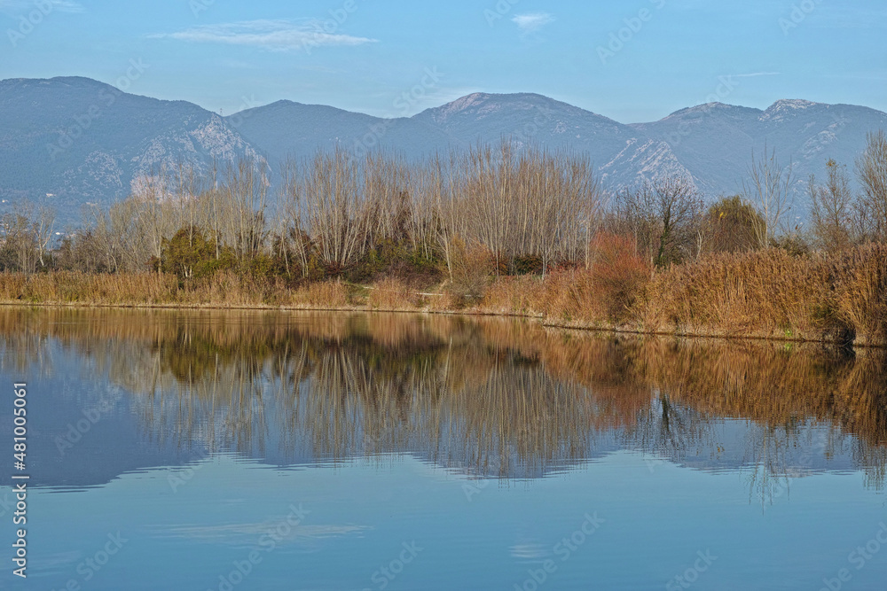 Fototapeta premium winter landscape