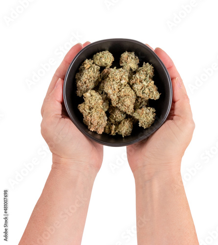 A females handd holding a bowl full of marijuana cannabis flower buds. Isolated on white background. photo