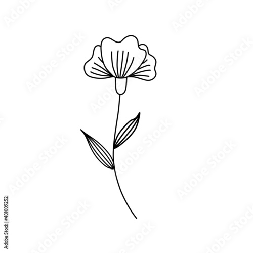 Cute single floral element. Isolated flower on a white background. Contour. Vector illustration for wedding design  logo and greeting card. 
