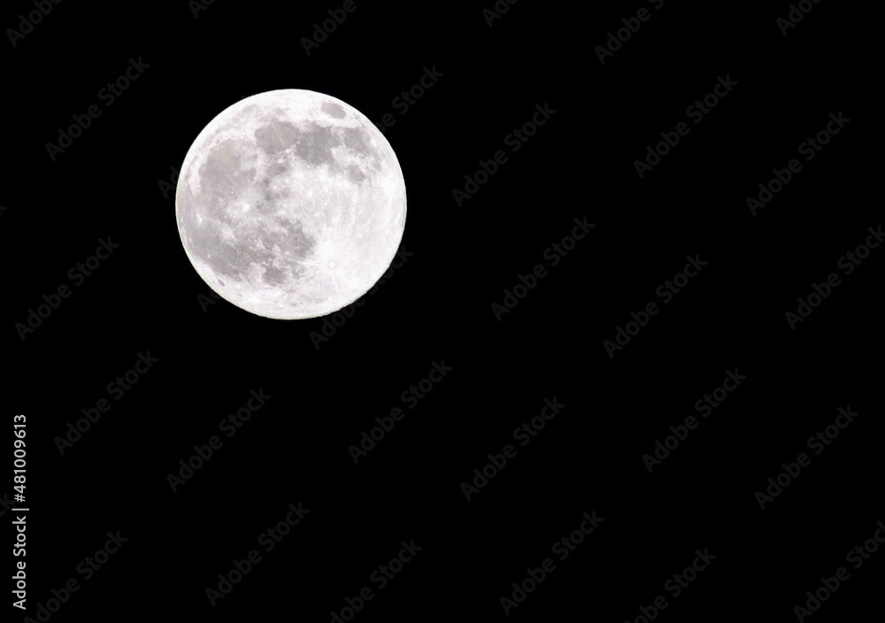 Fototapeta premium full moon