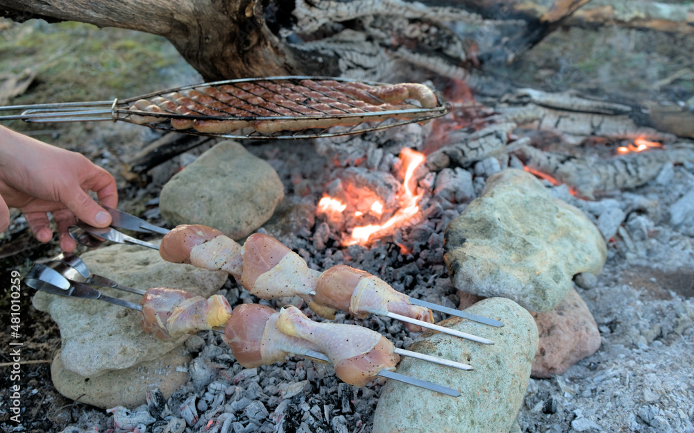 Fototapeta premium on an open fire from the branches of dry trees in the nature of the wild on the ground, grilled chicken thighs and sausages