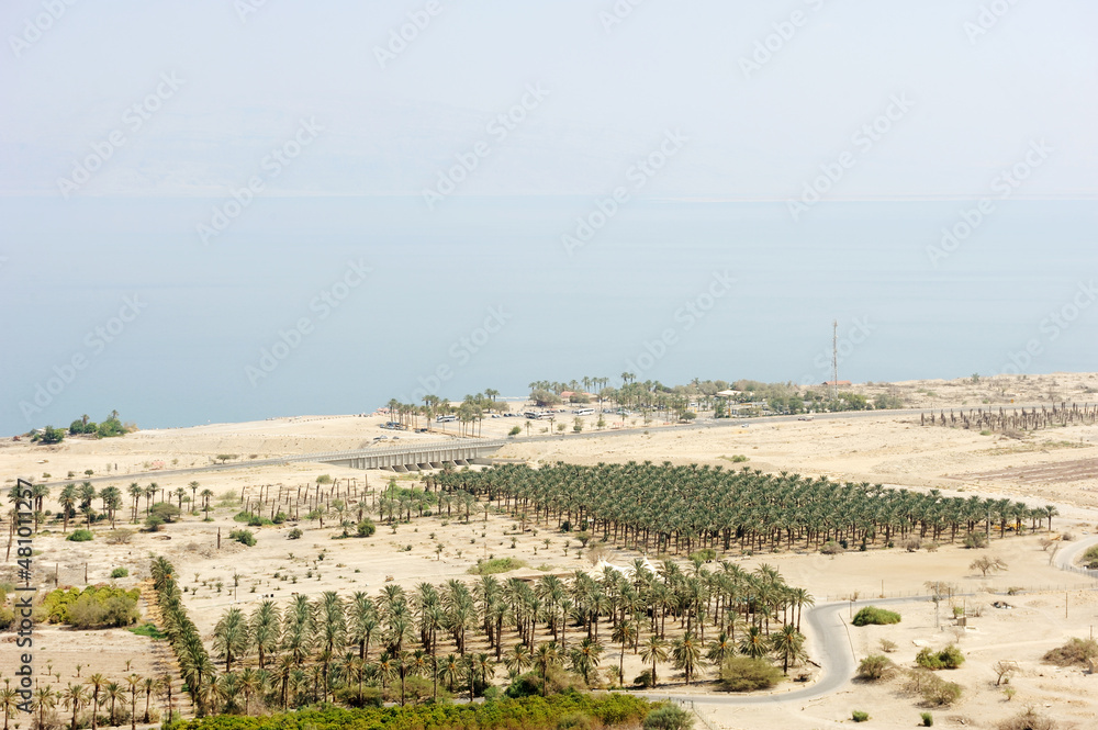 coast of the Dead Sea