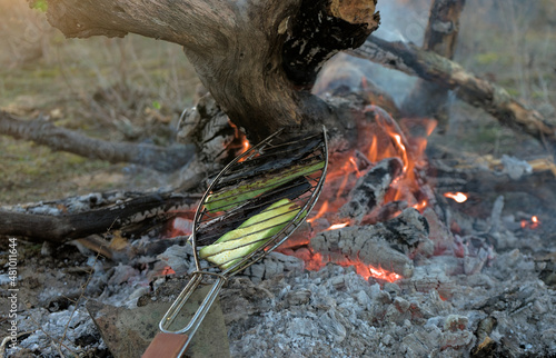 Grilled vegetables zucchini and eggplant are fried on an open fire in the wild right on the ground leaning on the branches of burning trees with the sunset in the background.