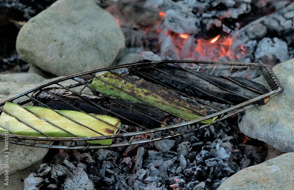 Obraz premium on an open fire from the branches of dry trees in the wild on the stones laid out on the sides, grilled vegetables zucchini and eggplant.