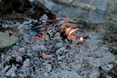 wood burning coals on the ground at close range