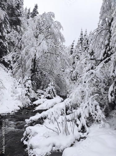 christmas tale. beautiful winter landscape of the carpathians with a mountain river on a cold snowy day