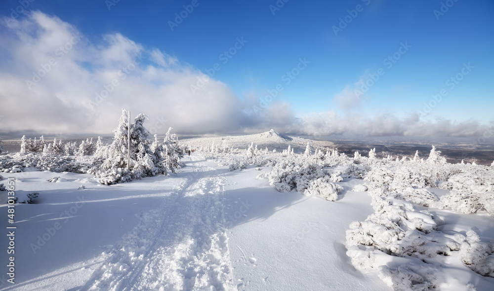 Beautiful winter landscape with snow capped trees, Karkonosze National Park, Poland.