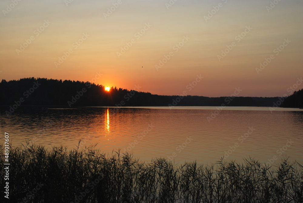 Orange sunset on the shore of a forest lake. The sun went down low over the forest growing on the shore of the lake. The surface of the water is almost smooth, the sky is clear without clouds.