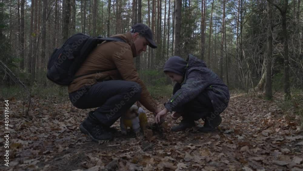 Happy father with backpack and son squatting on forest trail and looking at tree root. Environment and knowing nature concept. Happy father with backpack and son squatting on forest trail and looking at tree root. Environment and knowing nature concept.