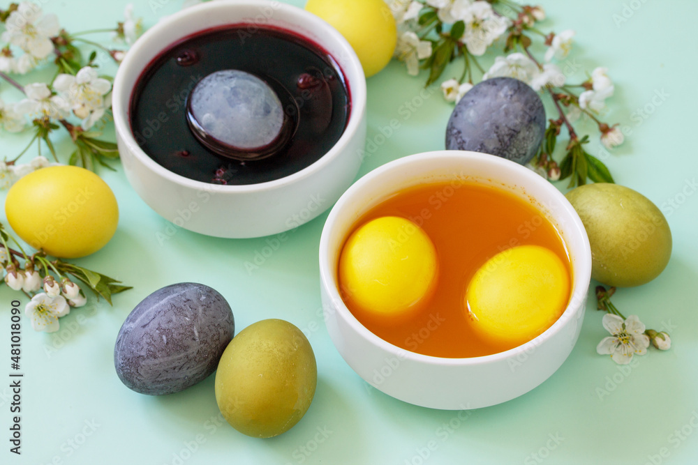 Natural dye for easter eggs - carcade and turmeric. Homemade colored easter eggs on a light green background. Natural dye for easter eggs - carcade and turmeric. Homemade colored easter eggs on a light green background.