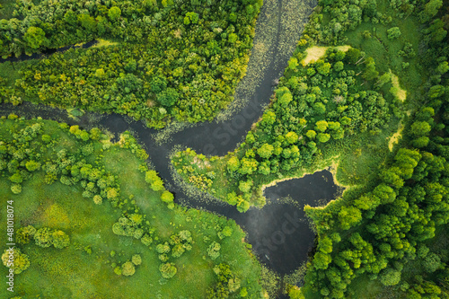 Aerial View. Green Forest, Meadow And River Marsh Landscape In Summer. Top View Of European Nature From High Attitude In Summer Sunrise. Bird's Eye View. Belarus