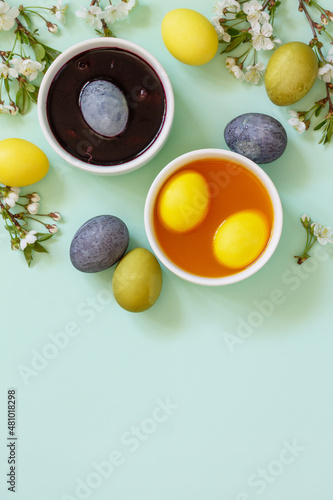Natural dye for easter eggs - carcade and turmeric. Homemade colored easter eggs on a light green background. Top view flat lay. Copy space.