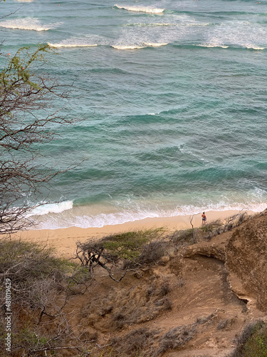 Male Surfer Waiting at Diamond Head Beach, O'ahu, HI, US,