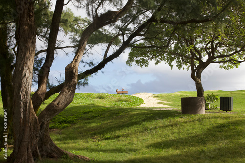 Two Women Talking on a Bench at Kailua Beach Park Beyond Trees a