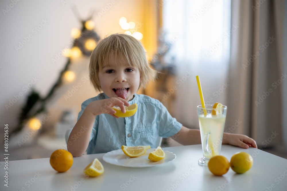 Cute toddler child, blond boy, licking lemons at home and drinking lemonade Cute toddler child, blond boy, licking lemons at home and drinking lemonade