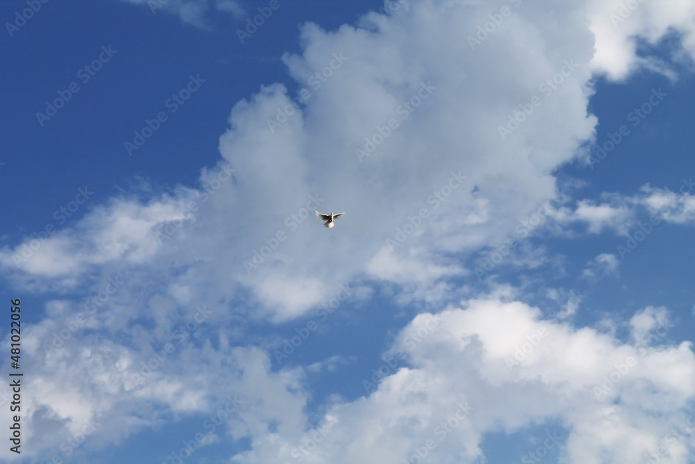 Clouds, blue sky, bright Sun