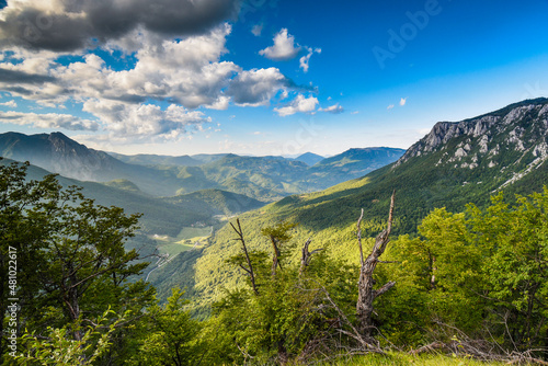 National park Sutjeska in Bosnia and Herzegovina. The park is one of the last primary forests in Europe. photo