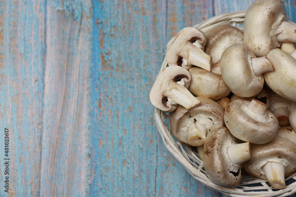 Mushrooms in a white basket. Top view on rustic blue wooden background. Space for copying. Mushrooms in a white basket. Top view on rustic blue wooden background. Space for copying.