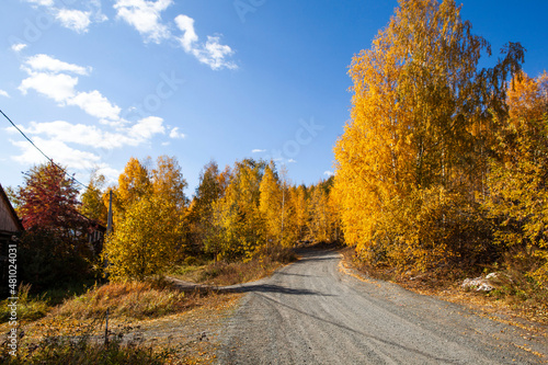 Bright  colorful  autumn forest and the road to Vysokaya mountain. Nizhny Tagil. Sverdlovsk region. Russia