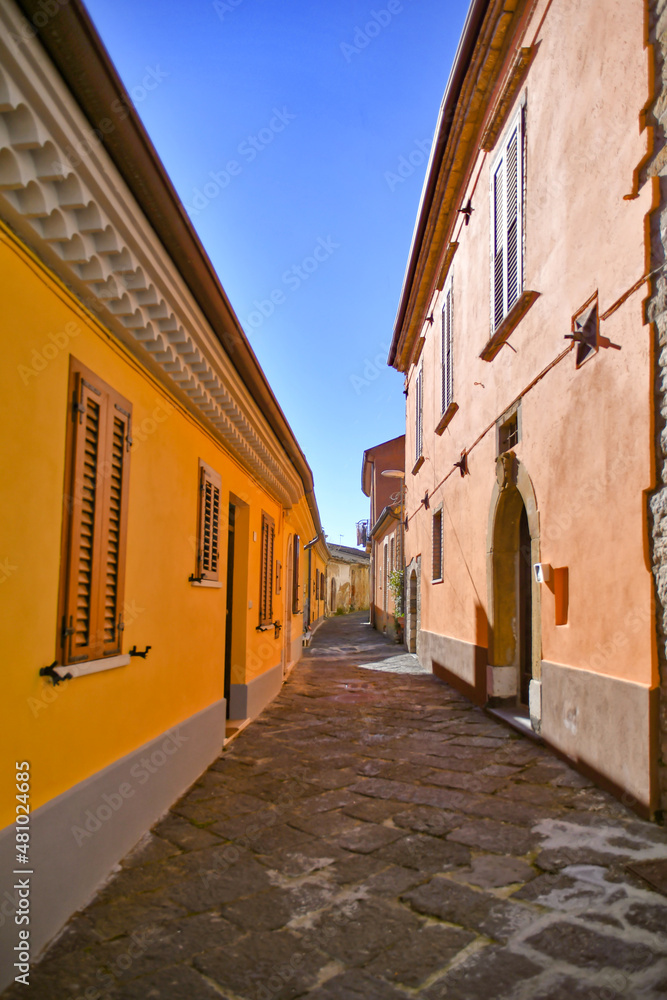 A street among the characteristic houses of Montecalvo Irpino, a village in the mountains in the province of Avellino, Italy.