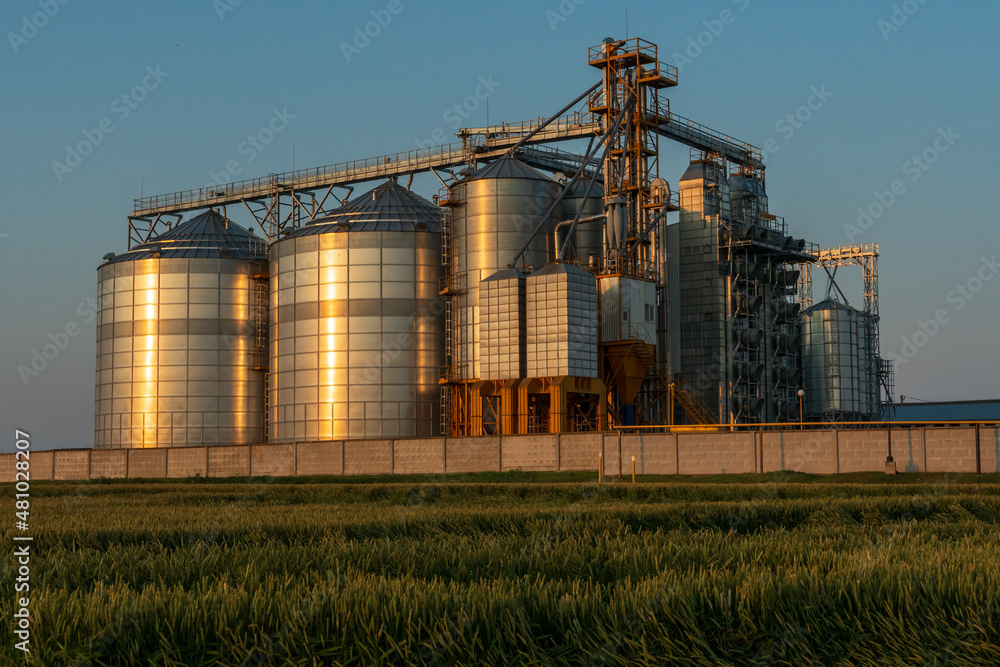 A large modern plant for the storage and processing of grain crops. view of the granary on a sunny day against the blue sky. End of harvest season. A large modern plant for the storage and processing of grain crops. view of the granary on a sunny day against the blue sky. End of harvest season.