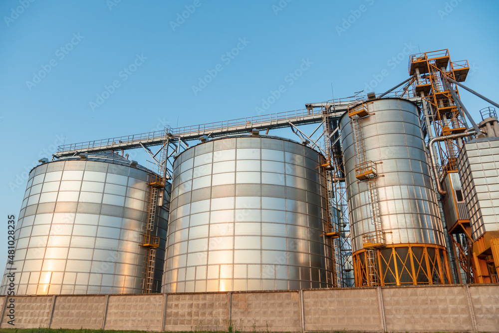 silver silos on agro manufacturing plant for processing drying cleaning and storage of agricultural products, flour, cereals and grain. Large iron barrels of grain. Granary elevator