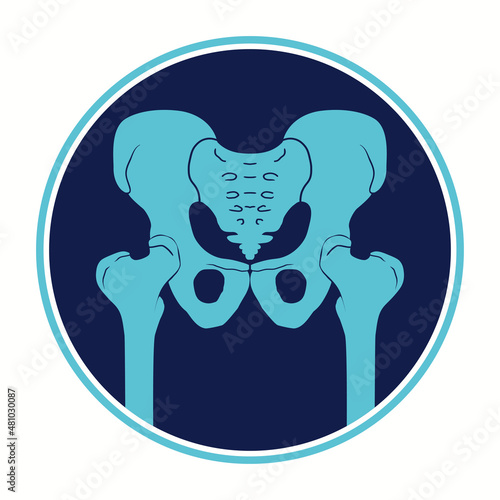 Pelvis icon. Hip joint the structure of the human skeleton. Pelvic girdle and thighs. Medical detailed illustration. Vector Silhouette