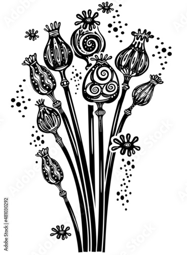 Poppy Pods Bunch Decorative black and white