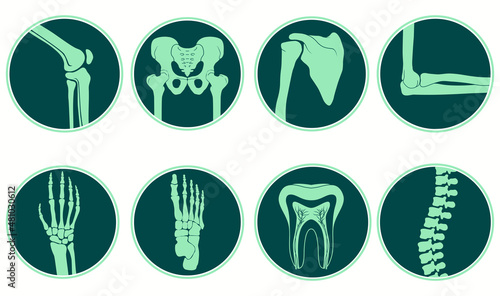 Orthopedic and skeleton symbols. Human joints and bones set. Vector