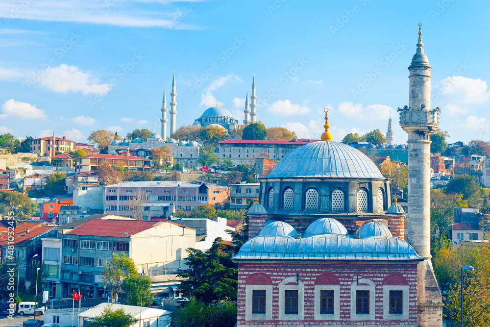 Naklejka premium In the heart of Istanbul: beautiful view of Sebsefa Hatun mosque and Ottoman imperial mosque - Suleymaniye in the background. Fatih, Istanbul, Turkey 