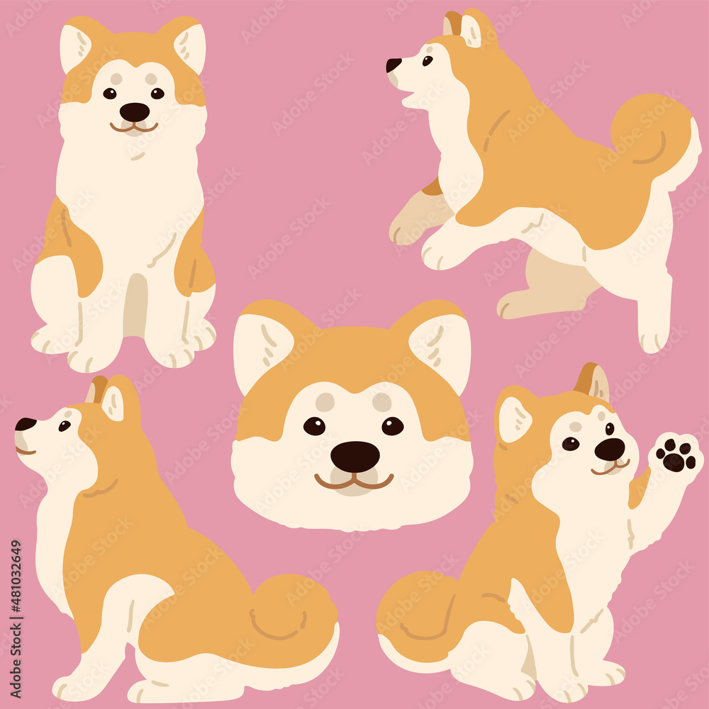 Fototapeta premium Simple and adorable flat colored Akita Dog illustrations