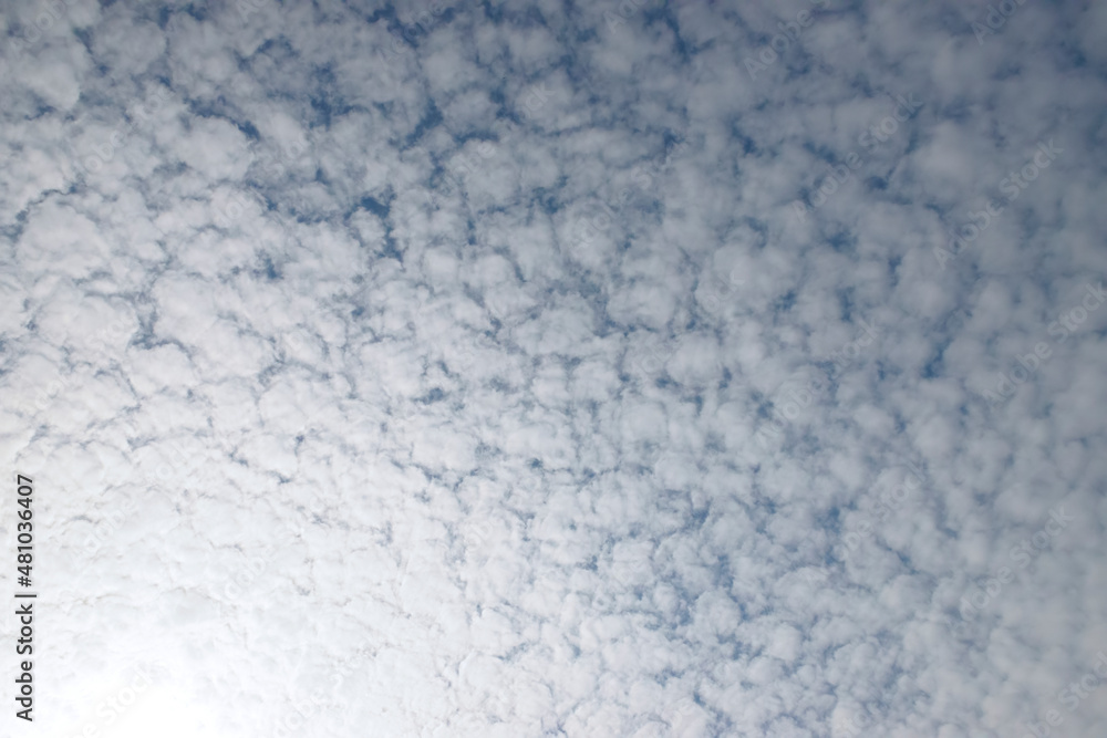Sky background with many small floccus clouds. Sky background with many small floccus clouds.