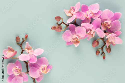 Fototapeta Naklejka Na Ścianę i Meble -  Pink orchid theme objects on pastel background.