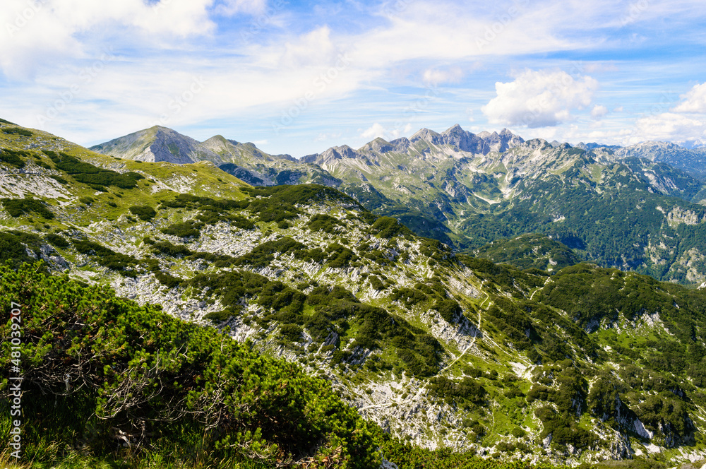 Fototapeta premium Rocky mountain peaks in the Julian Alps in Slovenia near the Vogel hill. Summer mountains and landscape over Lake Bohinj.