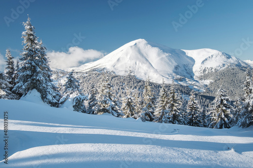 panoramic view to winter forest and snow peak