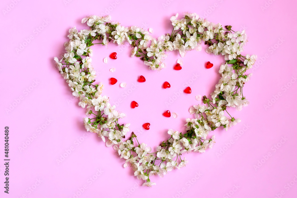 Cherry blossoms on a pink background, heart shape,the sun's rays.Valentine's Day Greeting Card.Top view. Space for text.