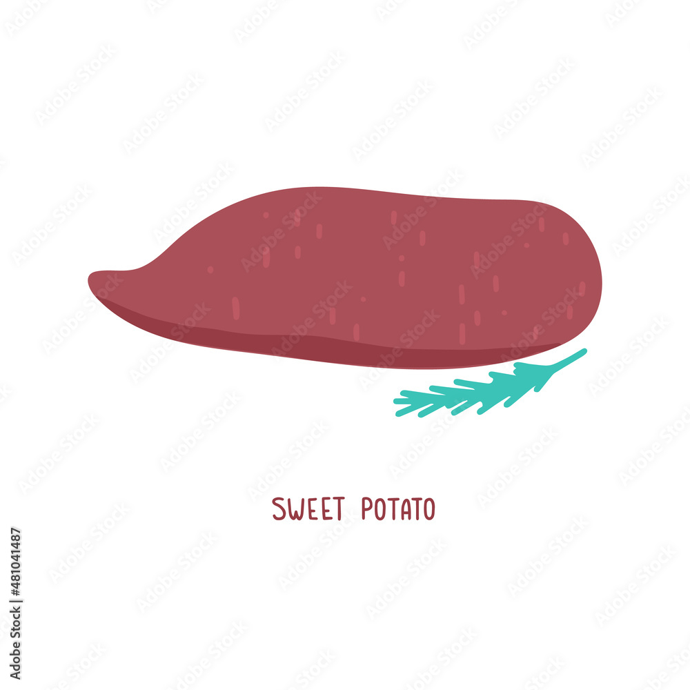 Hand drawn vector illustration with batata and sprig of rosemary Hand drawn vector illustration with batata and sprig of rosemary