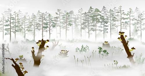 Swamp in the fog in front of the pine tree forest. Silhouette vector illustration of the bog with fallen trees, fungus, rotten stumps, mushrooms; grass, mist, plants, woods at morining