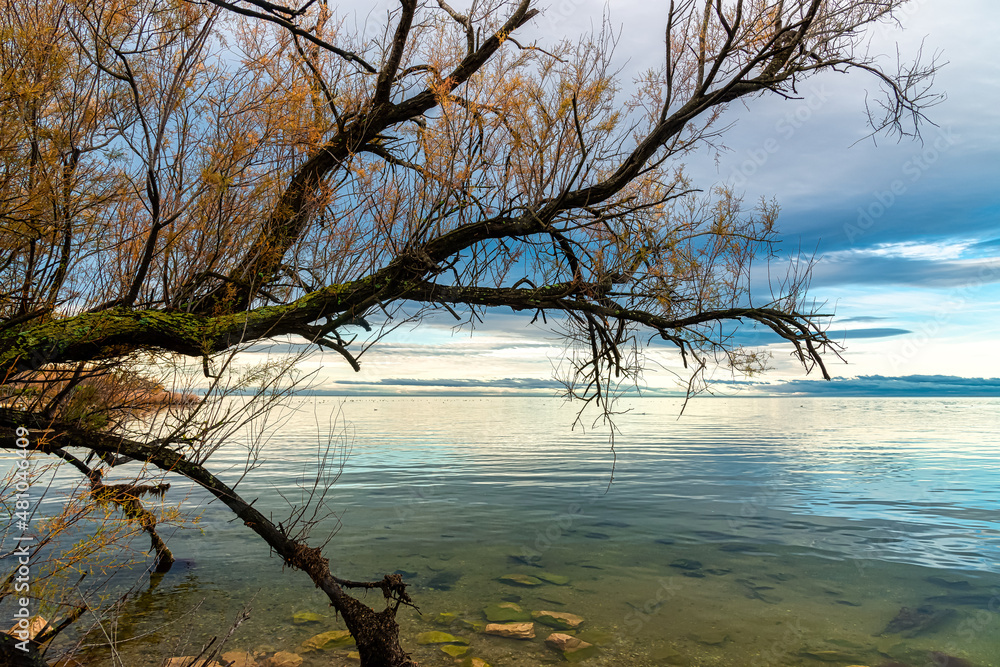 Breathtaking winter landscape in the Badlands of Camargue France