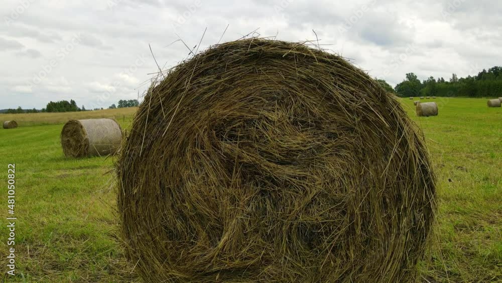 Aerial view of hay bales. Haystacks lay upon the agricultural field taken on drone. Agriculture. Landscape with farm land with hay rolls, straw. Top view from drone Aerial view of hay bales. Haystacks lay upon the agricultural field taken on drone. Agriculture. Landscape with farm land with hay rolls, straw. Top view from drone