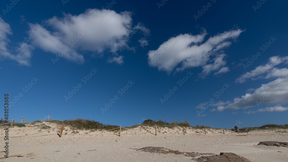 dunes of a virgin beach on a sunny day
