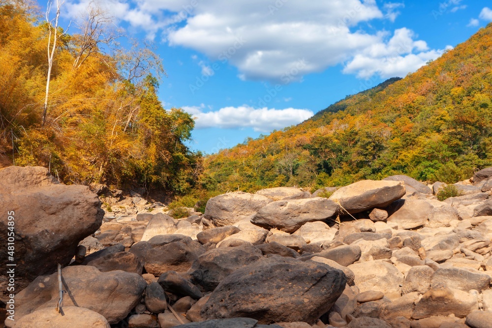 Obraz premium Landscape stone with mountain autumn leaves season beautiful nature sceney