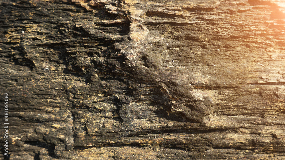 Stone wall texture Horizontal old black wall with light for backgrounds or web illustrations, designs, and other artwork. Stone wall texture Horizontal old black wall with light for backgrounds or web illustrations, designs, and other artwork.